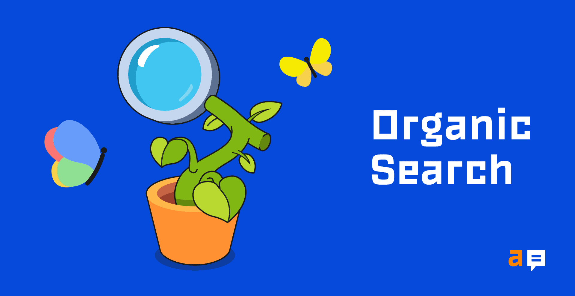 What is Organic Search? Everything You Need to Know